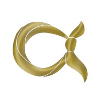 arzu scarf logo - Similar company to Fetolia - The Art Of Scarf