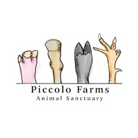 Piccolo Farms Animal Sanctuary logo - Similar company to Party Farms Animal Sanctuary