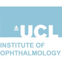 Ucl Institute Of Ophthalmology