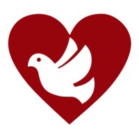 Steele Foundation for Hope logo - Similar company to Bless A Child Foundation