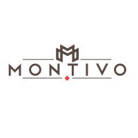 Montivo Ltd. logo - Similar company to Aagenterprisesjapan