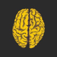 عشوائي logo - Similar company to Specialnext