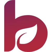 Informa Brejo