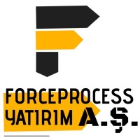 Forceprocess Yatırım A.Ş. logo - Similar company to 371Digital