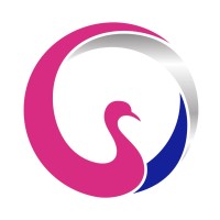 Cygnetise logo - Similar company to Dovetail Lab