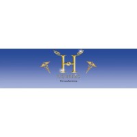 Hermes Personalberatung AG logo - Similar company to Vrus