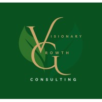 Visionary Growth Consulting logo - Similar company to Highline Building Services, Llc