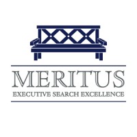 Meritus Executive Search Excellence LLC logo - Similar company to Logistical Data Services