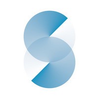 Synergy Effect logo - Similar company to It Forces