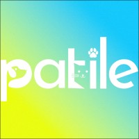 Patile App logo - Similar company to Patimat.App