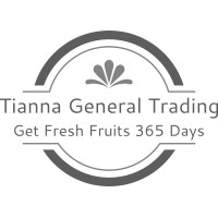 Tianna General Trading LLC logo - Similar company to Digital Core Solutions