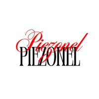 PIEZONEL logo - Similar company to Imz Technologies