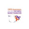 CRPS Awareness - The Purple Bucket Foundation Inc. logo - Similar company to Rsd/Crps Doesn'T Own Me