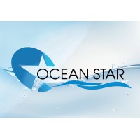 Ocean Star Technologies Private Limited logo - Similar company to Kro Studio