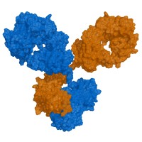 AbLeads logo - Similar company to Novaptech