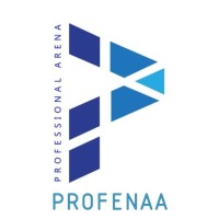 Profenaa Infotech logo - Similar company to Studiotwentyone.De