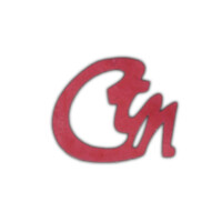 Shree Carpet and Textile Mahal (India) logo - Similar company to Galeecha India Pvt. Ltd.