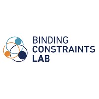 Binding Constraints Lab logo - Similar company to Masinyusane Development Organization