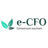 e-CFO.net logo - Similar company to Stealth Mastermind