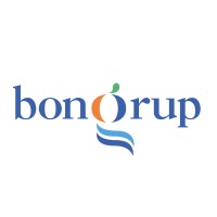 Bongrup Baleares, S. L. logo - Similar company to Impulsa Balears