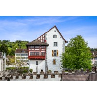 Museum Burg Zug logo - Similar company to Summum Lodge