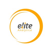 Elite Analytica logo - Similar company to Goodir Technology