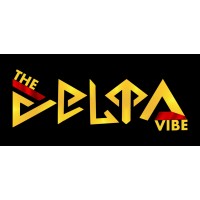 THE DELTA VIBE logo - Similar company to Vdcap Advisiors Pvt Ltd