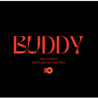 Buddy The Agency logo - Similar company to Outsourcing Solutions Ltd