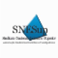 Snesup-Asdi Sindicato Nacional Do Ensino Superior - Associação Sindical De Docentes E Investigadores