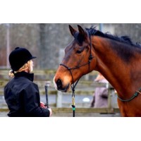 Crest Farm Equine Connections logo - Similar company to Nceft - National Center For Equine Facilitated Therapy (Nceft)