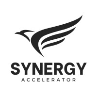 Synergy Accelerator logo - Similar company to Tyarya Limited