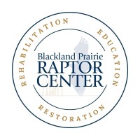 Blackland Prairie Raptor Center logo - Similar company to Orchard Consulting Group