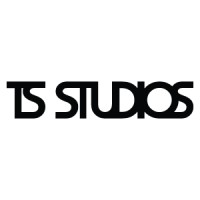 TechStorm Studios logo - Similar company to Motorhead Studios