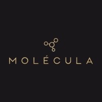 Grupo Molécula logo - Similar company to Cefisa