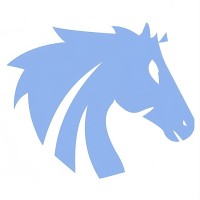 Shadowfax Capital Management logo - Similar company to Shadowfax Capital