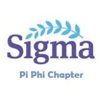 Pi Phi: Sigma Theta Tau Society of Nursing logo - Similar company to Orbit Chair