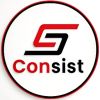 Consist Solution Private Limited logo - Similar company to Livepoint Solutions Private Limited