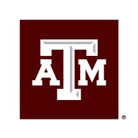 Texas A&M Institute of Data Science logo - Similar company to Aggie Data Science Club