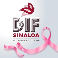 DIF Sinaloa logo - Similar company to Gobierno Del Estado De Sinaloa
