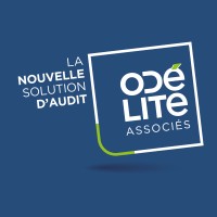ODÉLITE Associés logo - Similar company to Octo Conseil
