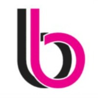 Bling Bag - Digital Fashion Jewellery Store logo - Similar company to Vinegar Creatives