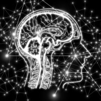 Tidat logo - Similar company to Msc Advanced Functional Materials