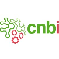 Cnbi