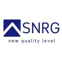 SNRG logo - Similar company to Jusan Singularity