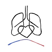 Health & Human Performance Foundation logo - Similar company to Tarn Apps Inc.