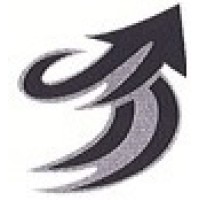 Transall International SARL logo - Similar company to Cases & Beyond