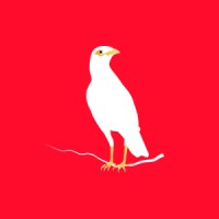 Citca Studio logo - Similar company to Pela Design