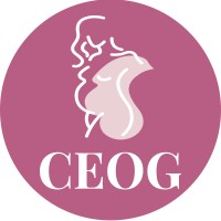 Clinical and Experimental Obstetrics & Gynecology logo - Similar company to Imr Press