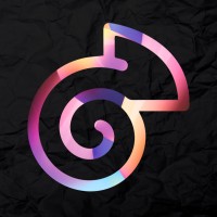 Camaleon Agency logo - Similar company to Camaleon Agency