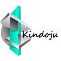 Kindoju Nigeria Limited logo - Similar company to Infinitestreet